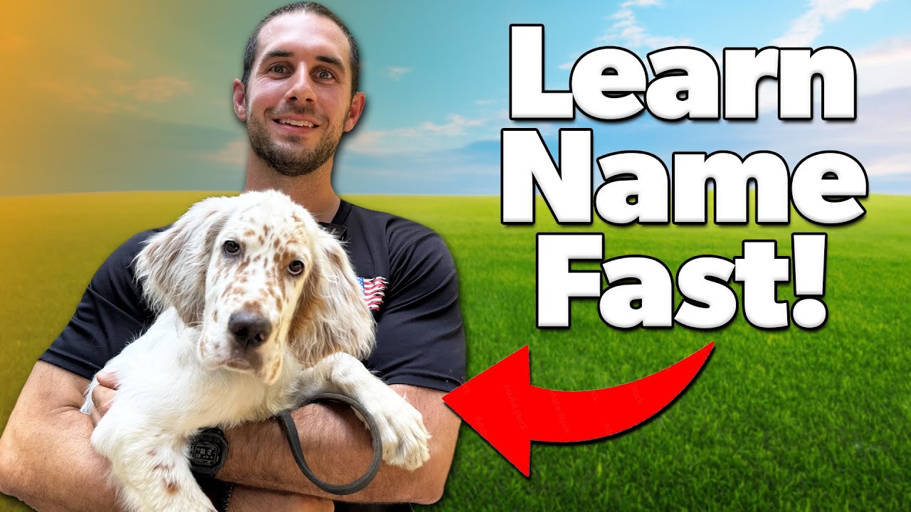 How to Teach Your Puppy Their Name in 3 Simple Steps (Works Every Time!)