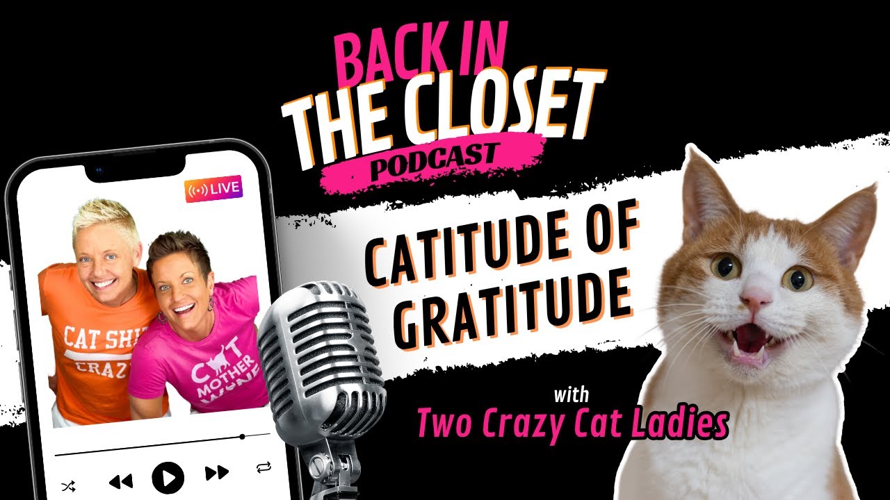 Cattitude of Gratitude | Back In The Closet