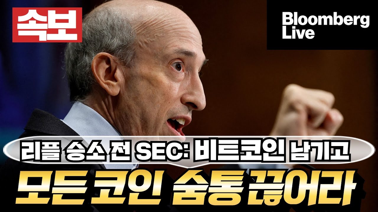 리플 승소 발표 전 SEC 의장 명령 폭로, &ldquo;비트코인 살리고 모든 코인 거래중단 명령 마쳤다&rdquo; / 리플, 2030년까지 가격 예측 어떻게?