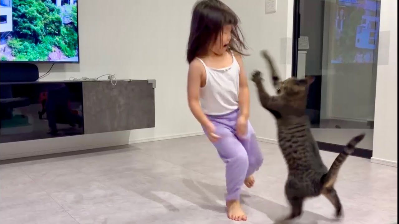 猫と人間とは思えないほど仲良く遊ぶ姉妹