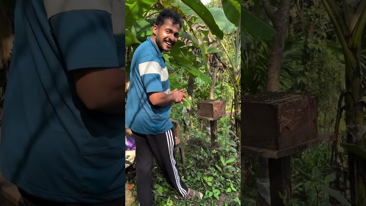 കാട്ടു തേൻ നുകരാം 😍