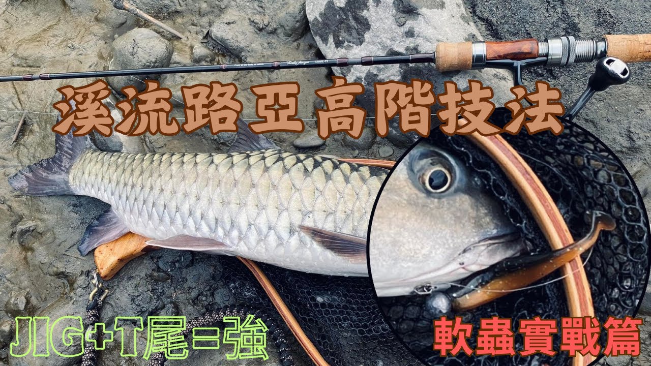 【傲少年】溪流路亞軟蟲實戰篇!飄&落下!學會釣捲不怕龜! #捲仔 #路亞 #捲仔棘魞人 #個人釣捲招式公開 #軟蟲 #HR溪谷獵人 #烏溪