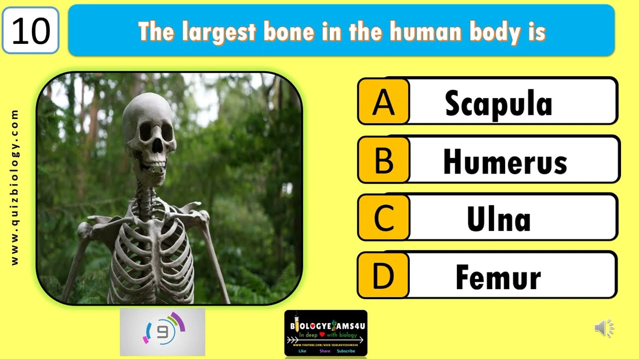 Human Body GK Quiz | Human Body MCQ 35 Question Challenge |  Test Your Human Body Knowledge!
