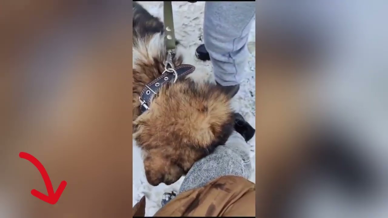 Сделать доброе дело сегодня 👇 Важна любая помощь, даже самая маленькая
