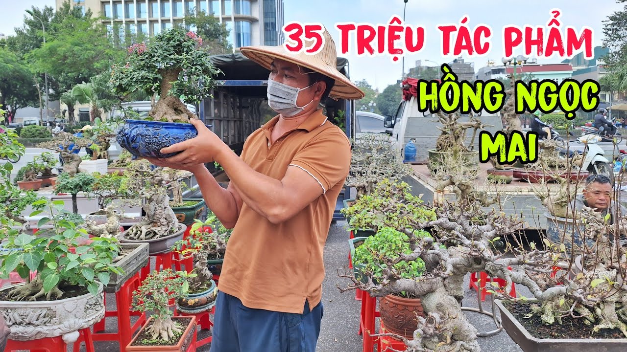 35 triệu tác phẩm - Hồng Ngọc Mai - tại chợ Hoa Vạn Phúc -Hà Đông -Hà Nội