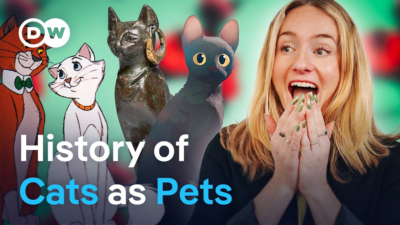 How Cats Transformed From Wild Animals to World Rulers
