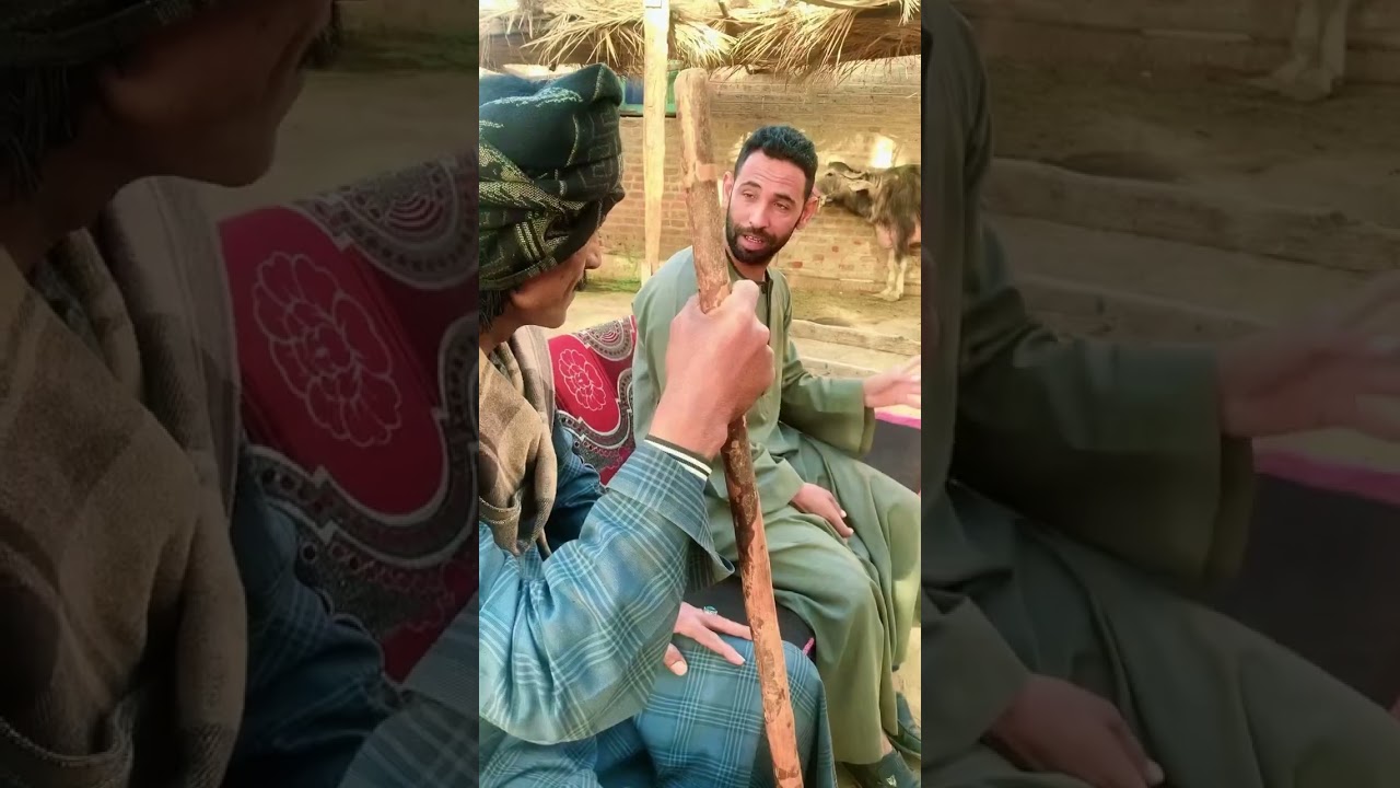 ضريبه المشاكل والثأر كامل 