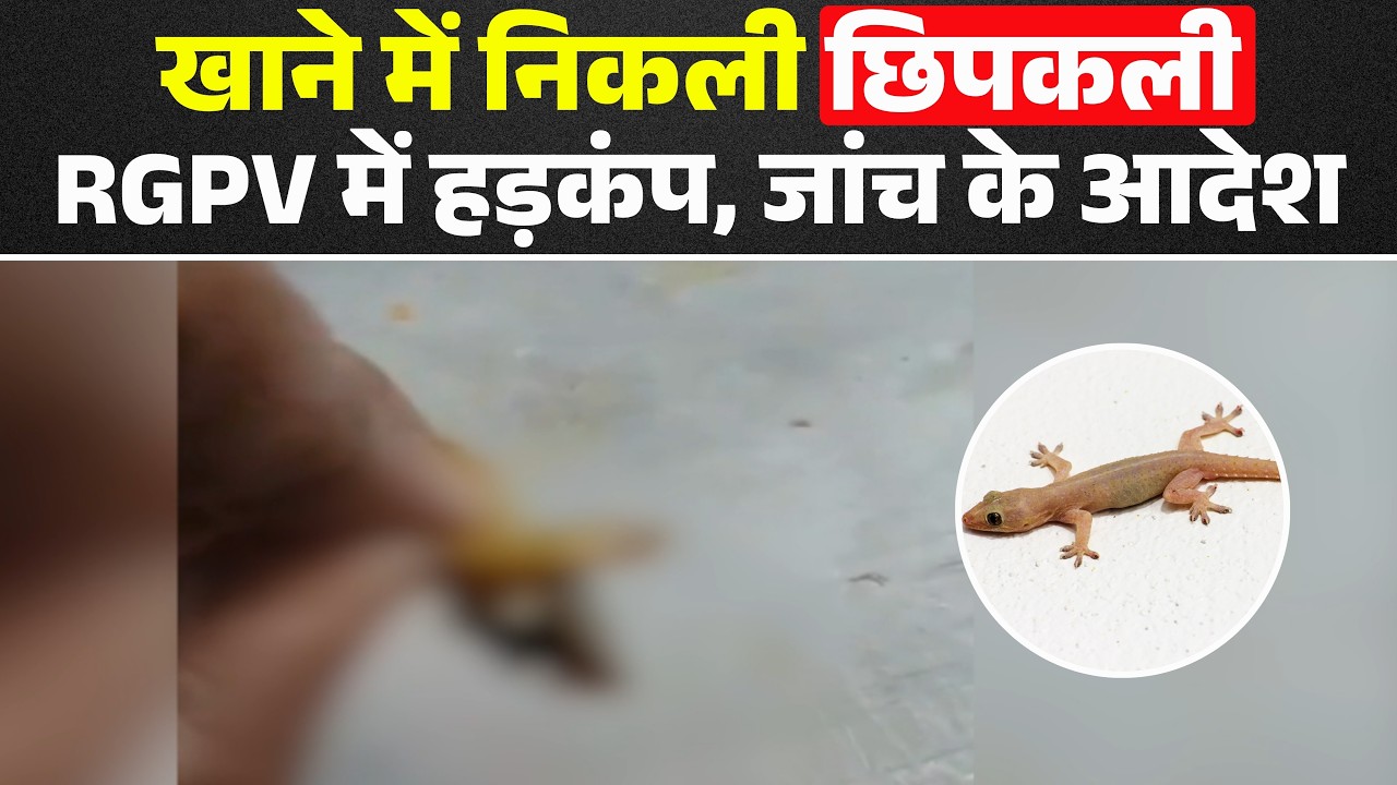 Bhopal News: Case of lizard found in food at RGPV | Management formed a committee to investigate ...
