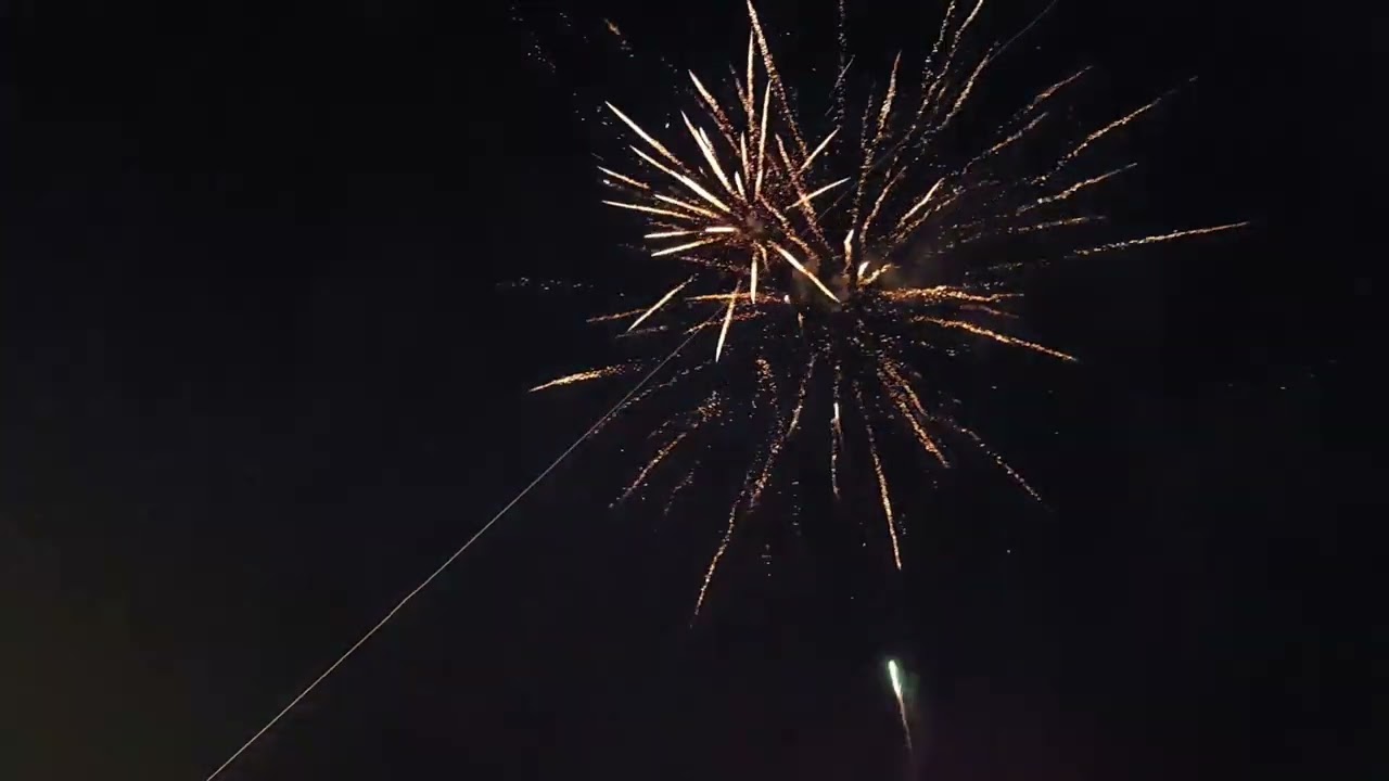 Festividad de Santo Domingo de Guzmán Hinojosa Del Duque.  2023.