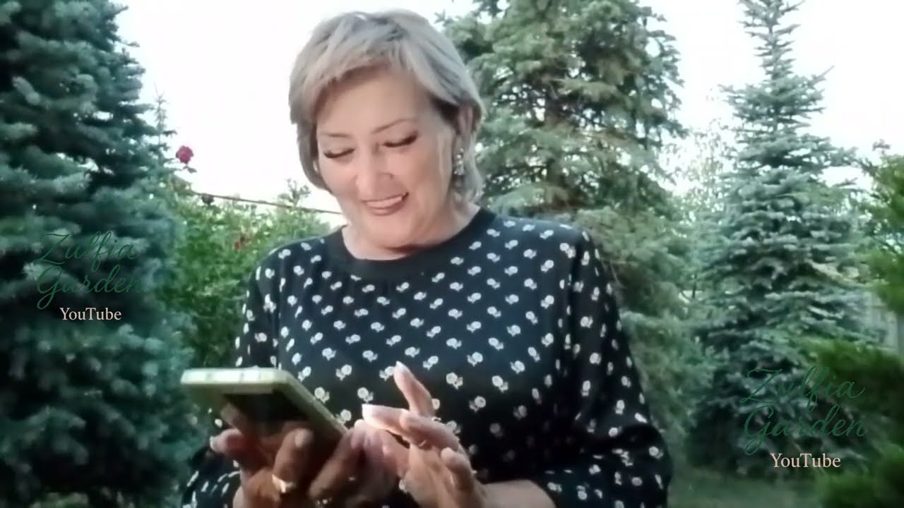 Ответ на комментарий про розу сорта 