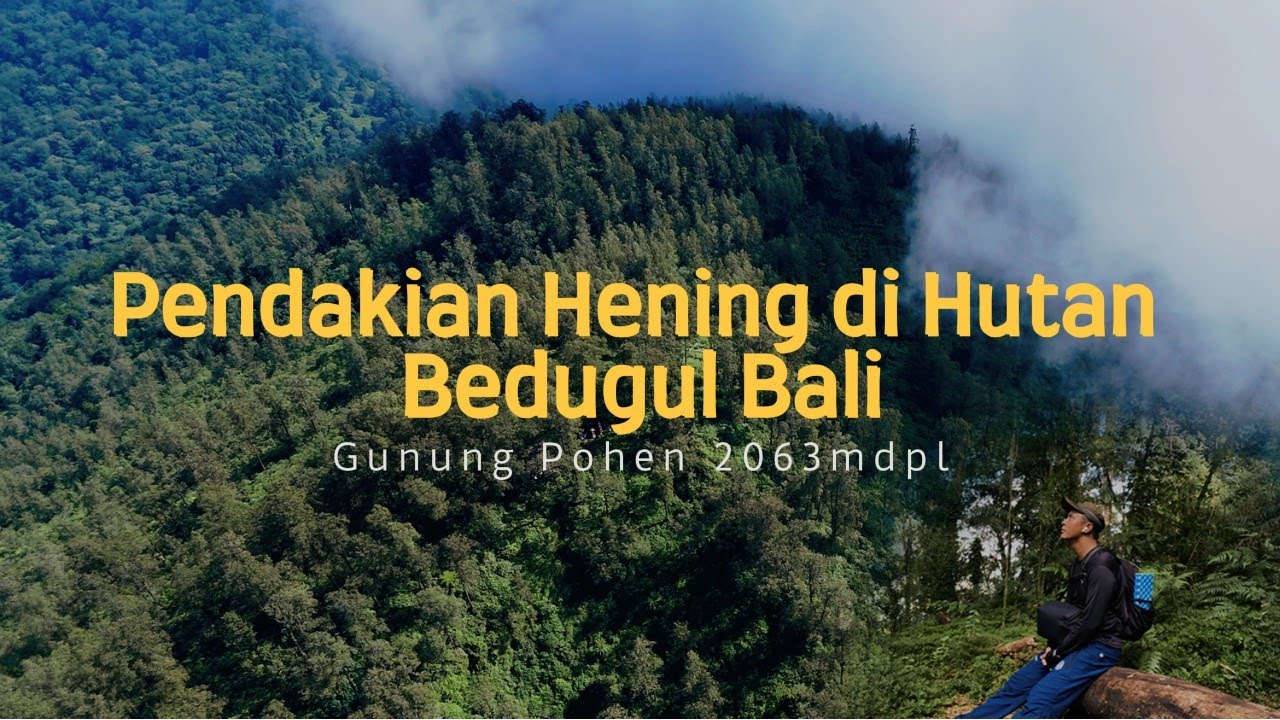 Pendakian Hening di Hutan Bedugul Bali | Gunung Pohen 2063mdpl