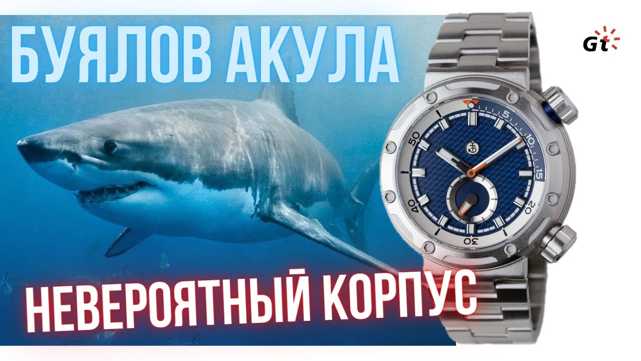 НОВАЯ АКУЛА ОТ БУЯЛОВА СЬЕЛА МОЕ СЕРДЦЕ!