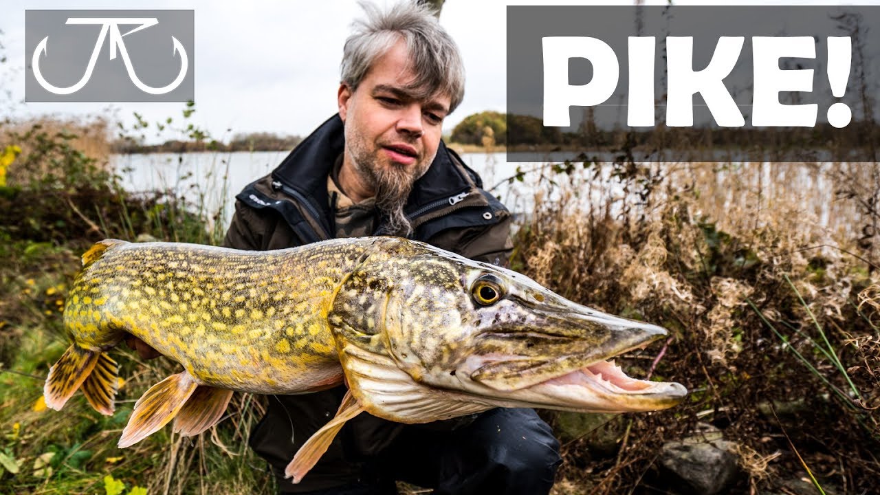 Angeln: Hechtangeln deadbaiting Monster-Pike Blinker Film
