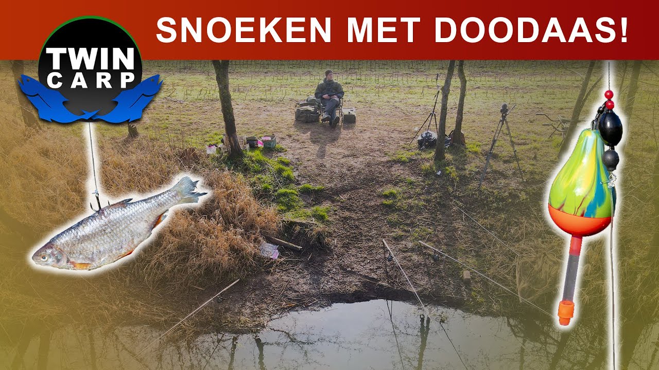 Snoekvissen - DOOD AAS SESSIE met Tips & Tricks!