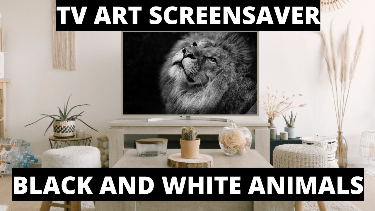 Black and White Animals | Turn Your TV Into Art | Animal Art Slideshow For Your TV | 2Hr of HD Pics