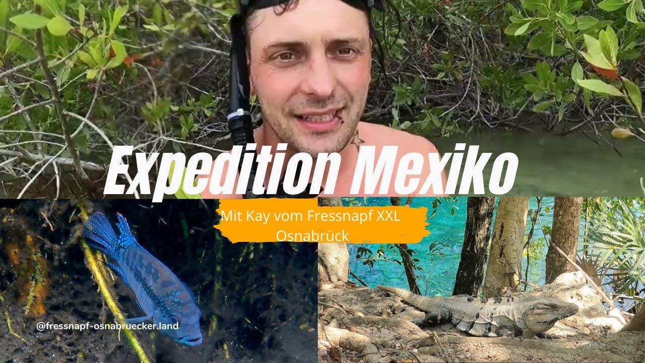 Ein Tag der nicht nach Plan lief... - Expedition Mexiko Teil 8
