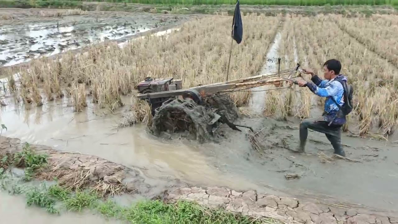 PERSIAPAN LAHAN RAWA UNTUK GALUR NUSANTARA