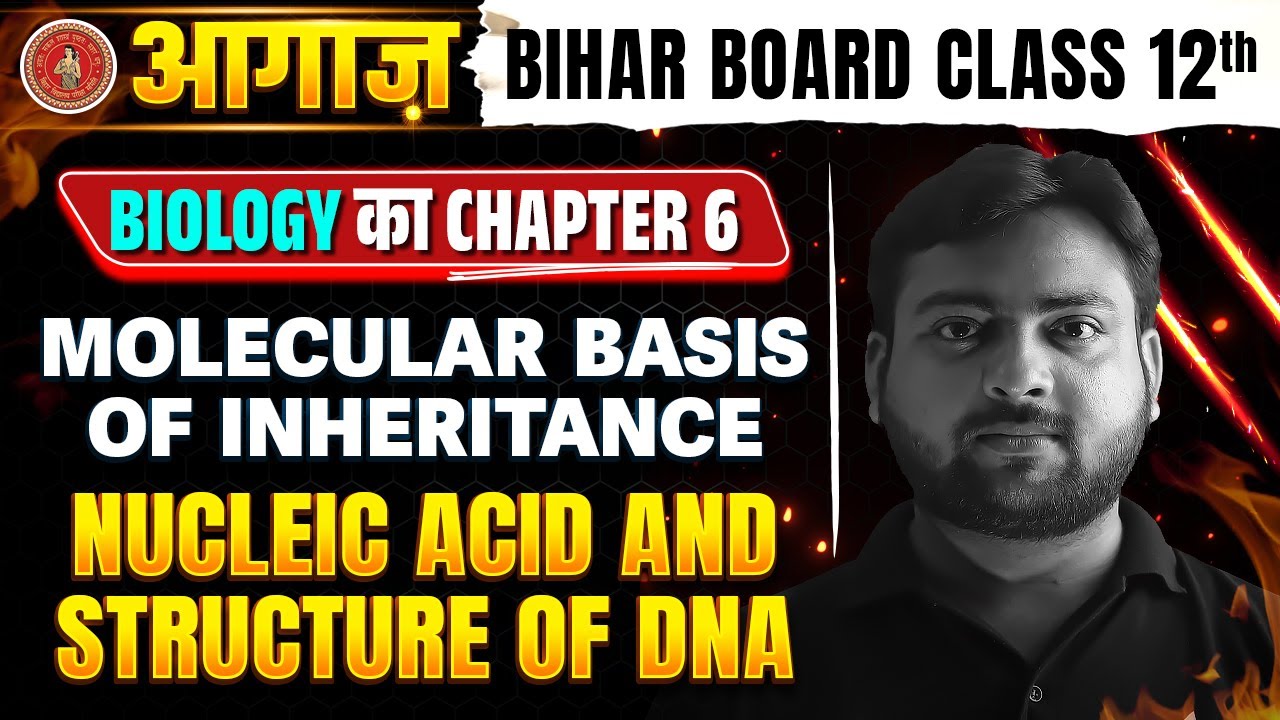 Class 12 Biology Chapter 6 | Bihar Board 12th Biology Molecular basis of Inheritance