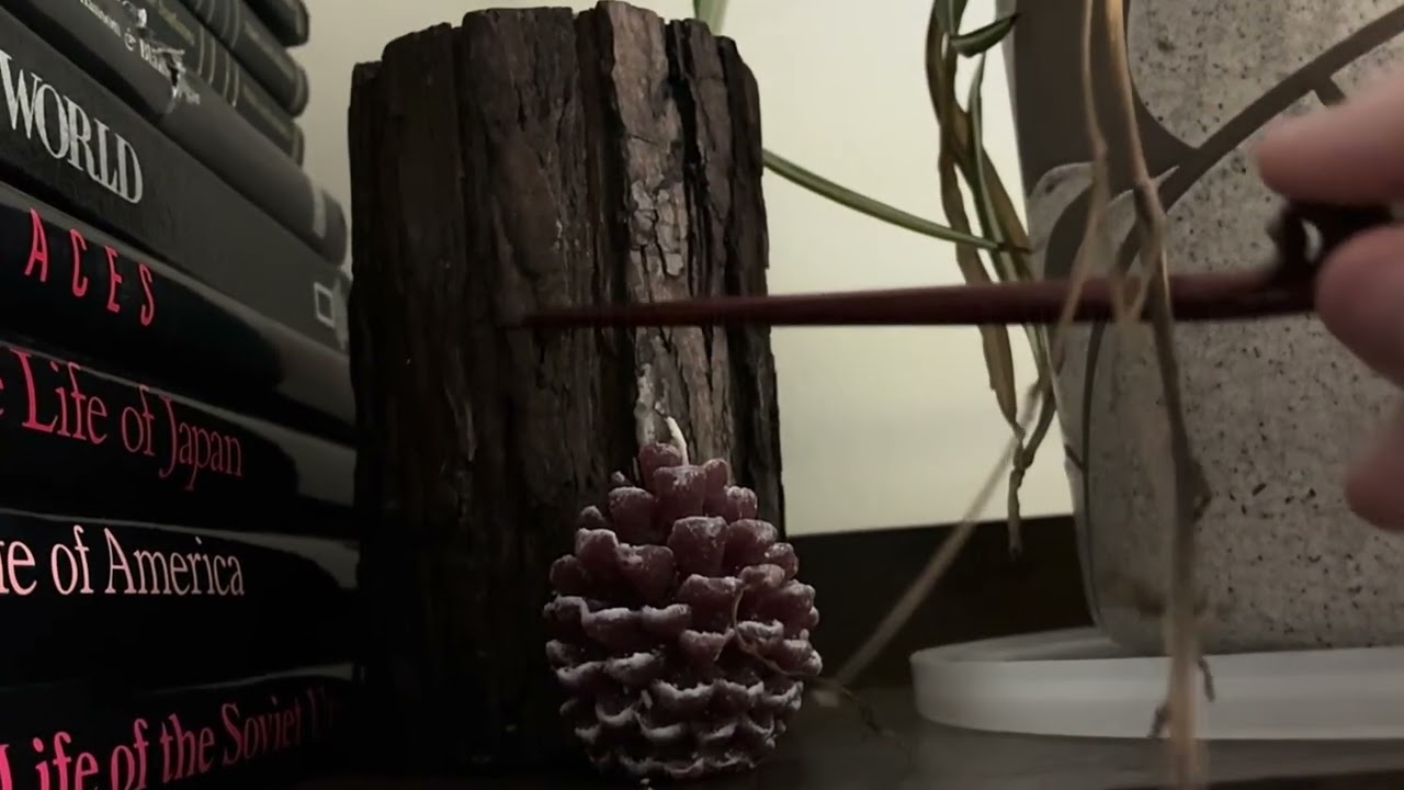 ASMR bookshelf tour 
