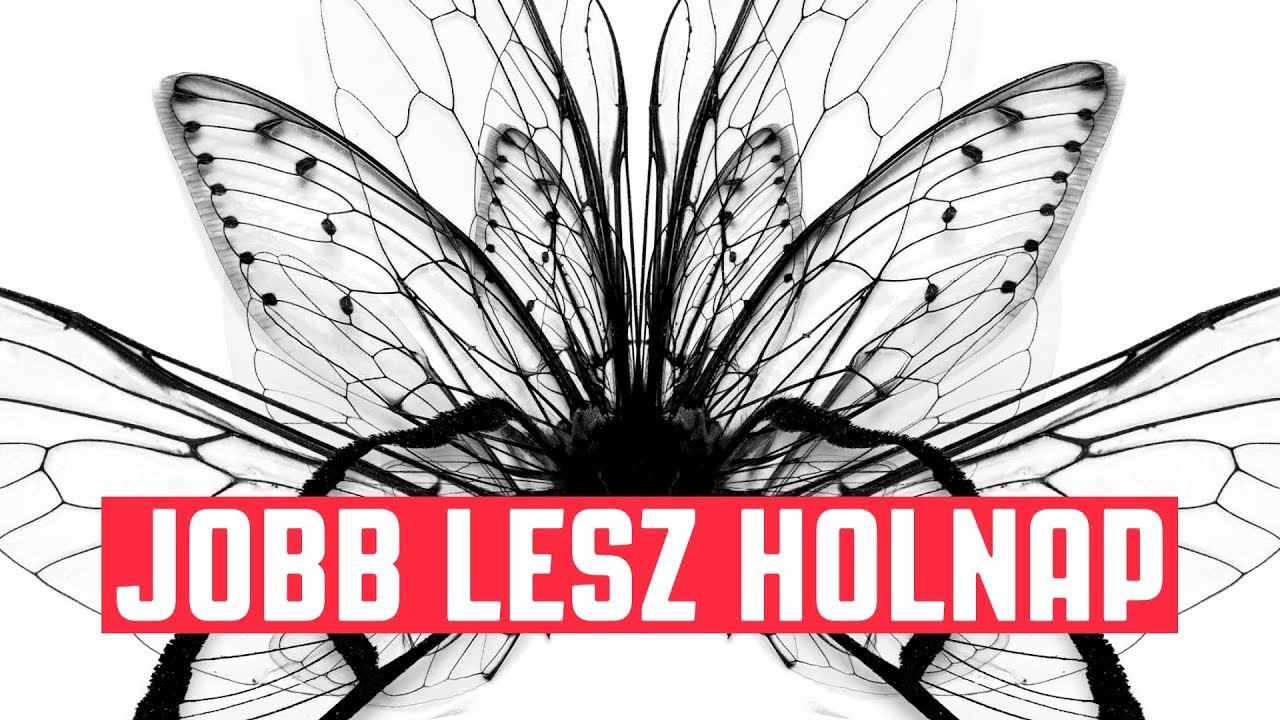 Vad Fruttik - Jobb lesz holnap | videóklip