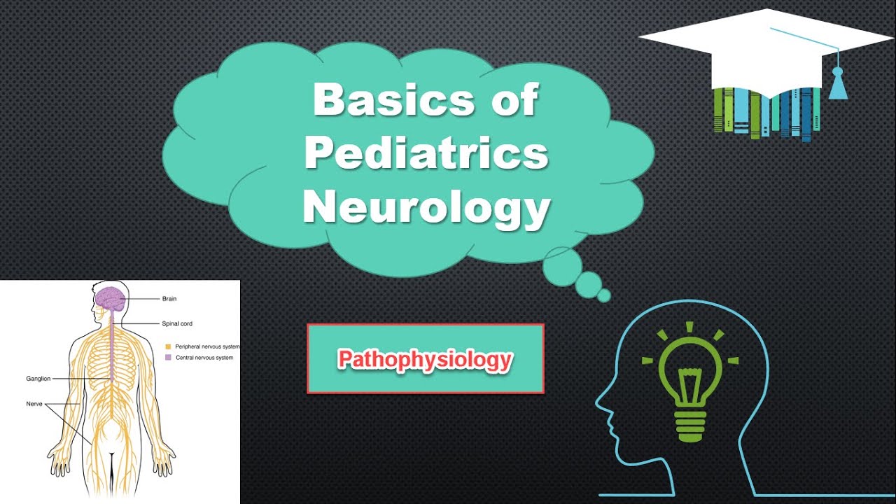 Pediatric Neurology Basics Part 2