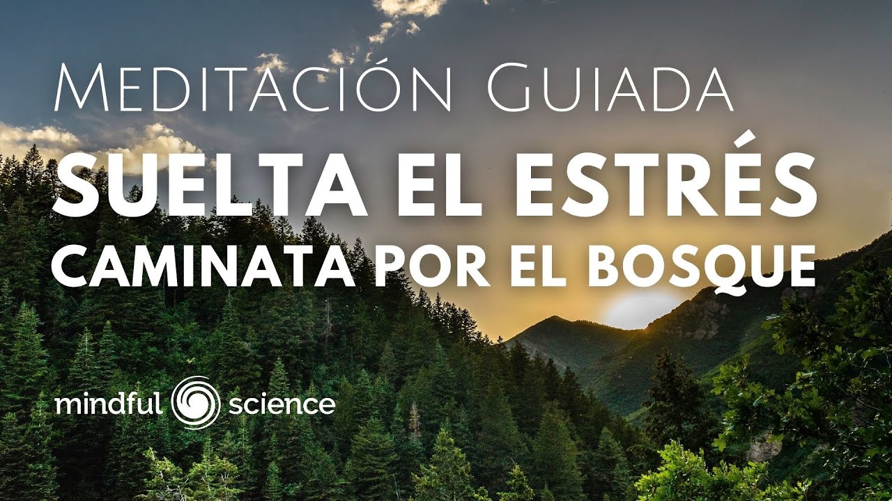 🎧Suelta el estrés: Caminata por el bosque/RELAJA TU MENTE/Mindfulness en español-Meditación Guiada