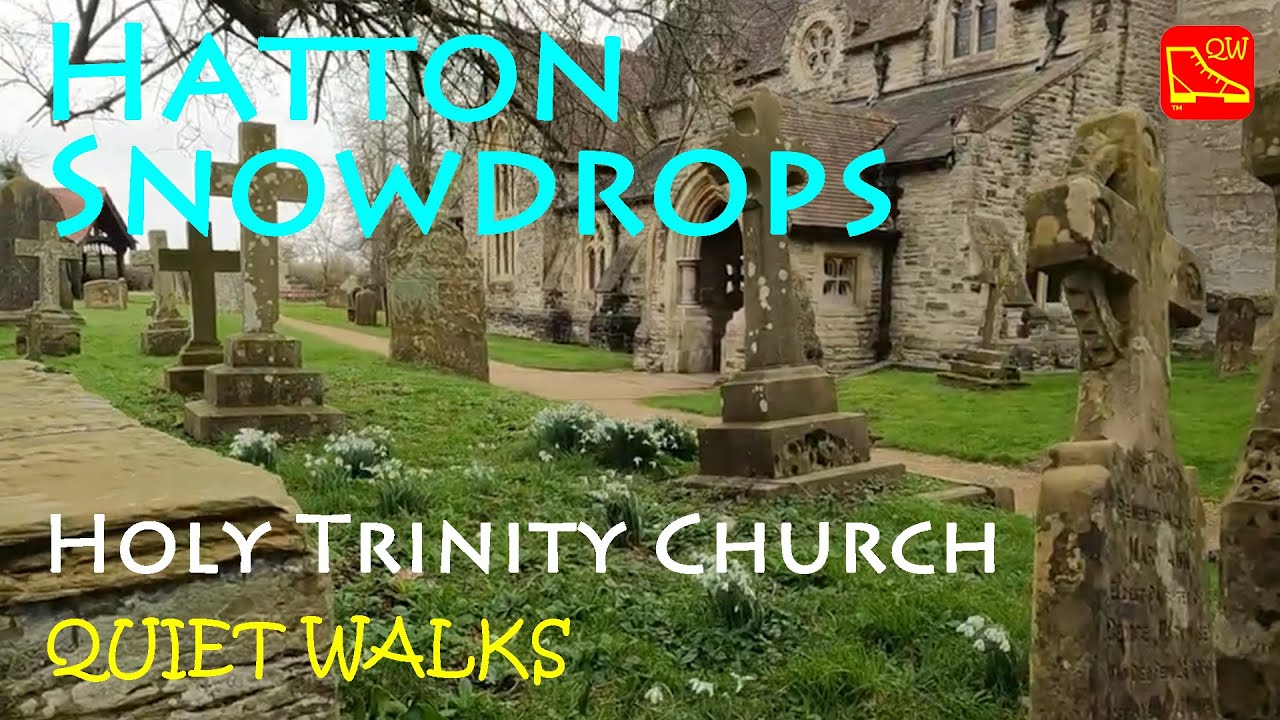 Hatton Snowdrops  - Quiet Walks (133)
