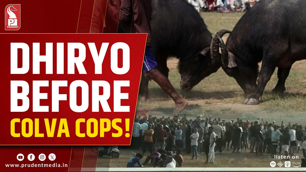 Dhiryo in Front of Colva Cops; Several Parked Motorcycles Damaged