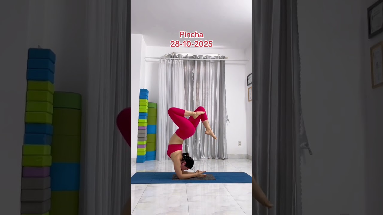 #pincha #hollowback #yoganhatrang #yogaonline