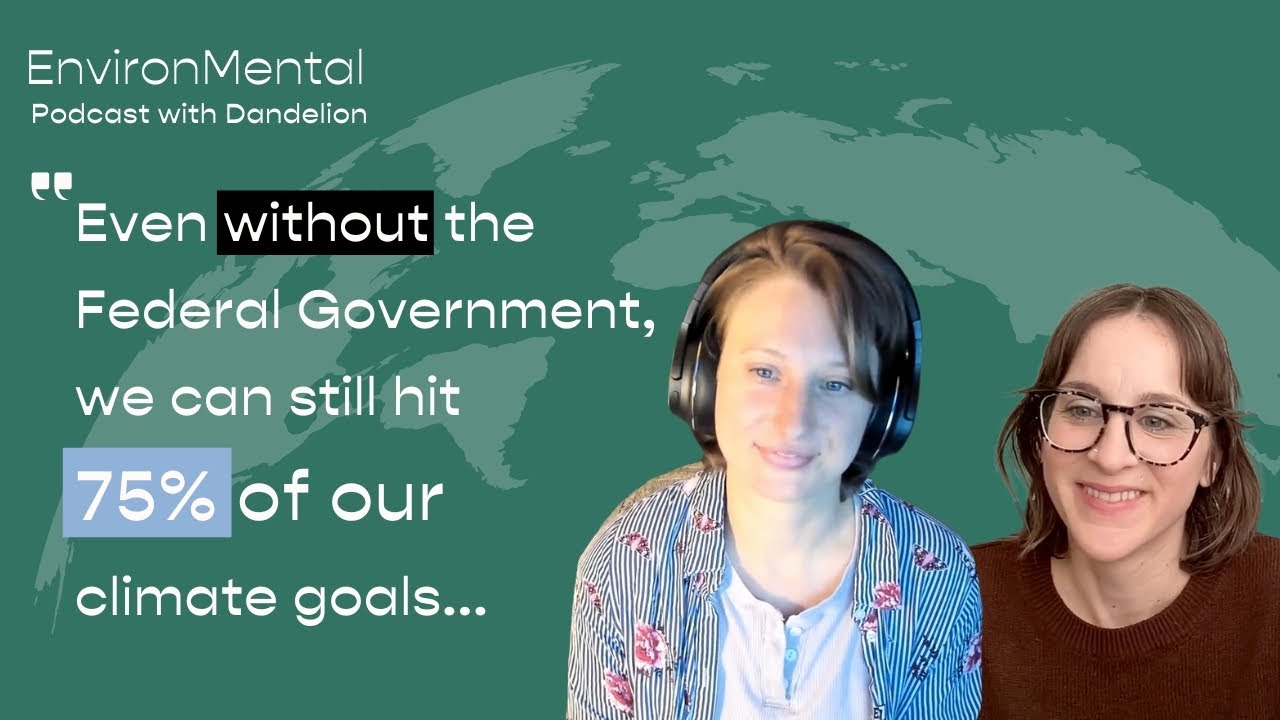 February 2025 Sustainability News | EnvironMental Podcast