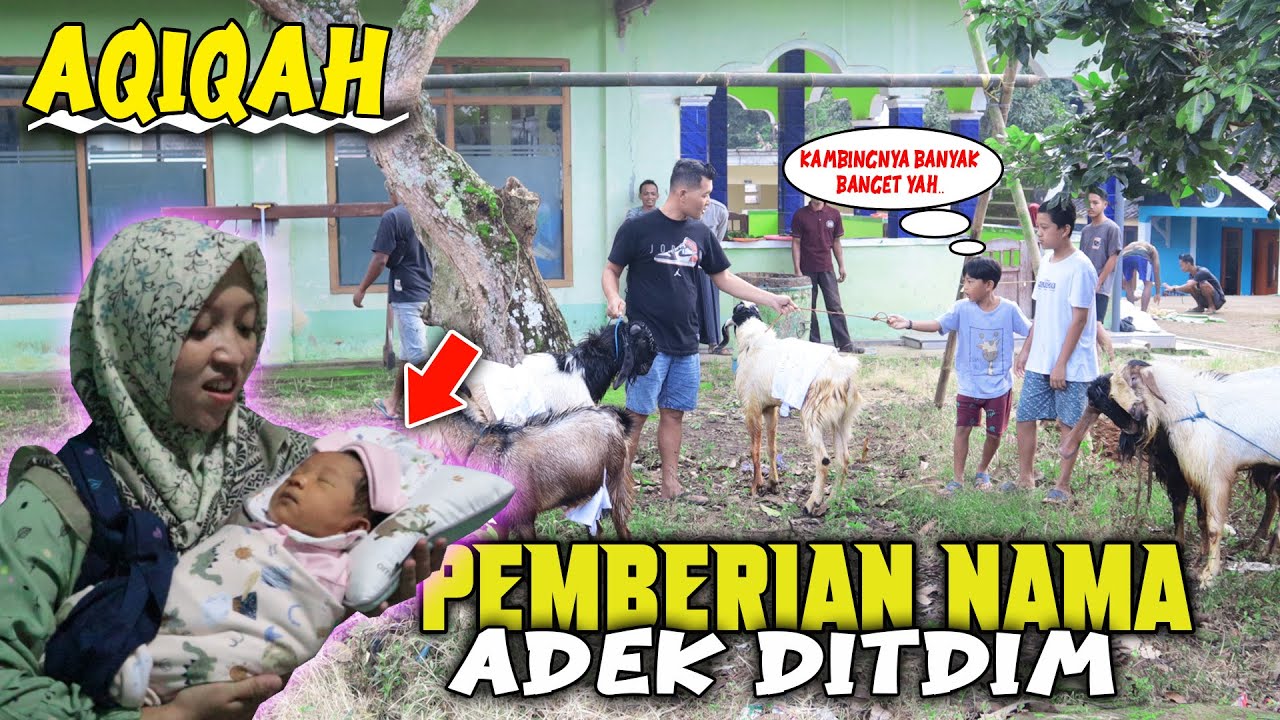 aqiqah adek, kak ditdim dan bunda, dan pemberian nama untuk adek ditdim