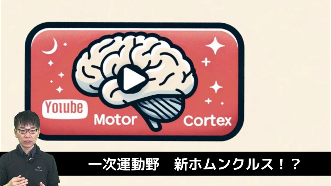 【新ホムンクルス発見💡】一次運動野の機能と領域は？どこ？脳画像/中心溝　【第1回 臨床脳科学シリーズ】