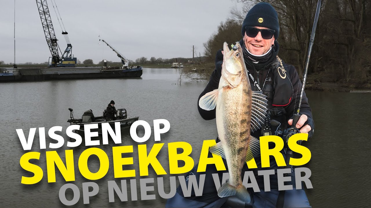 SPRO - Fishing For Winter Zander On New Waters