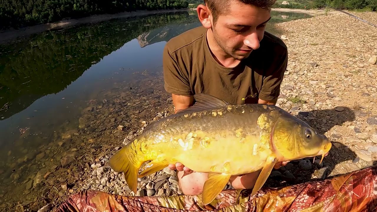 CARP FISHING OLIANA - 1er CONCURSO TEAM PRO ELITE BAITS CATALUÑA - MAHARA FISHING
