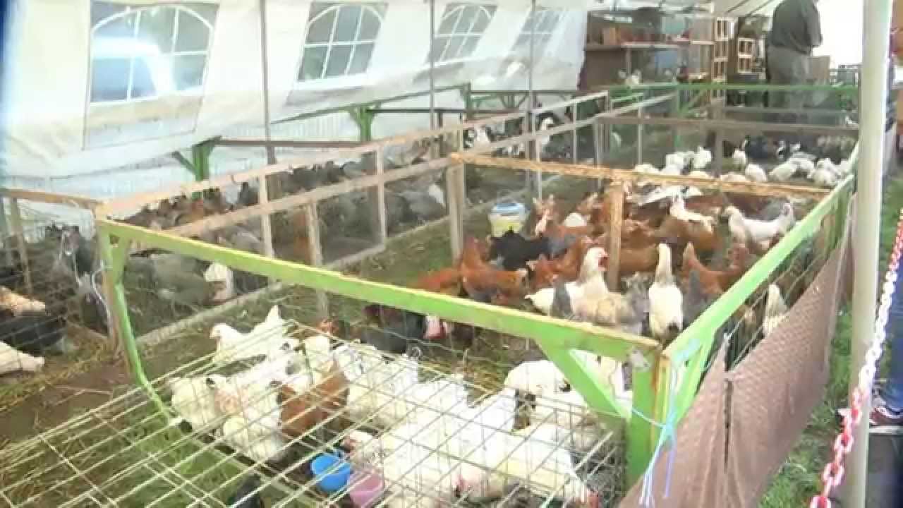 Düstermühlenmarkt Legden 2015
