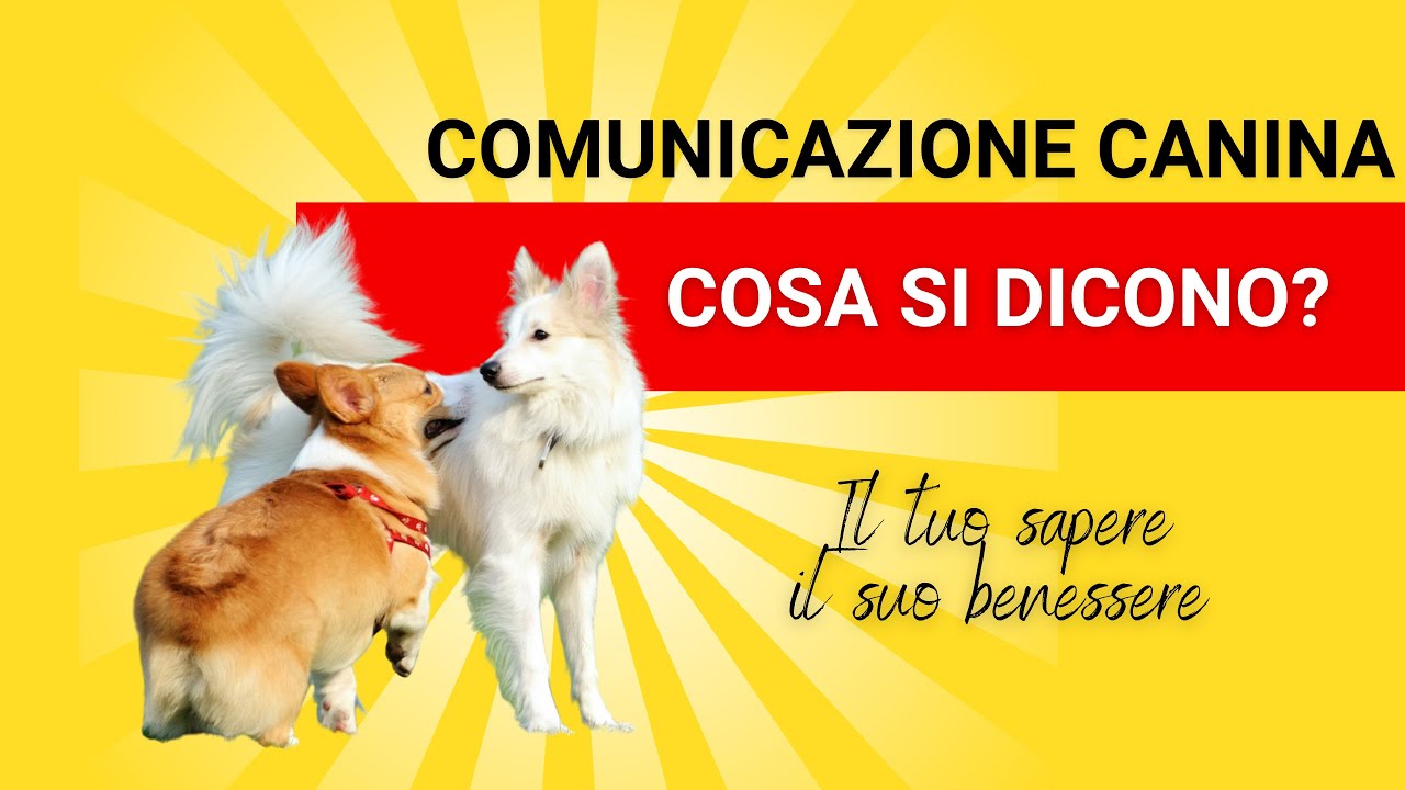 Comunicazione canina - il mio cane parla - Mirko Darar