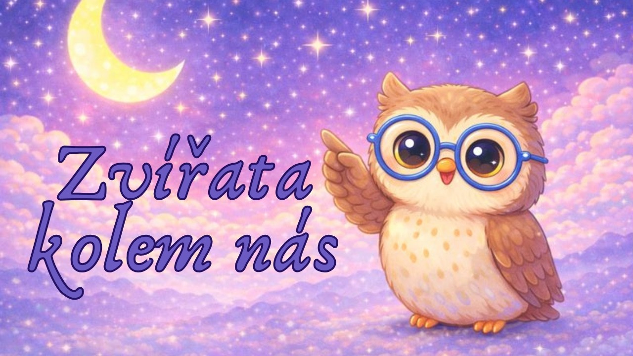 🐾 Zvířata kolem nás | Kde žijí a jak se o ně starat | Klidné povídání pro děti před spaním
