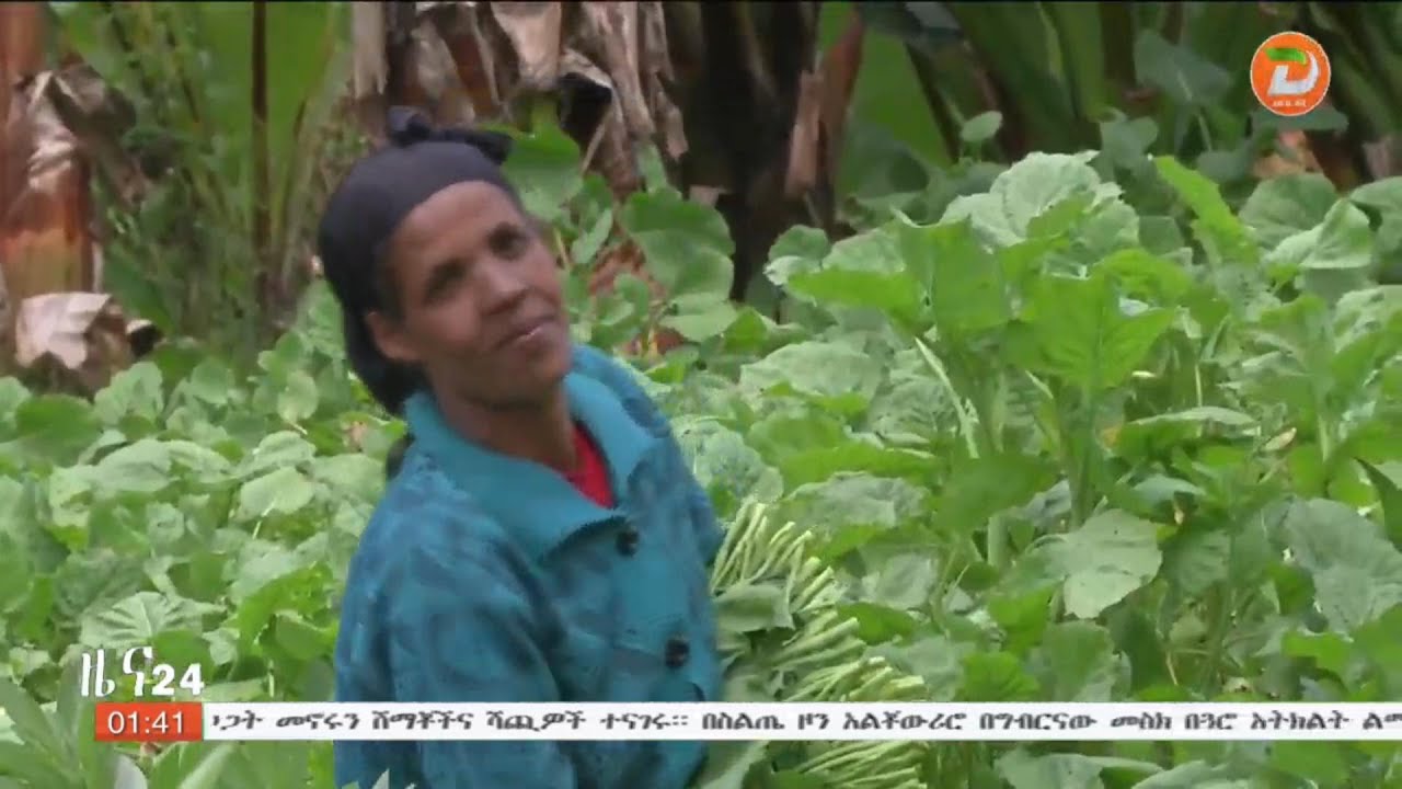 በስልጤ ዞን አልቾ ውሪሮ ወረዳ በጓሮ አትክልት ልማት በማህበር የተደራጁ የህብረተሰብ ክፍሎች ውጤታማ መሆናቸውን ተናገሩ