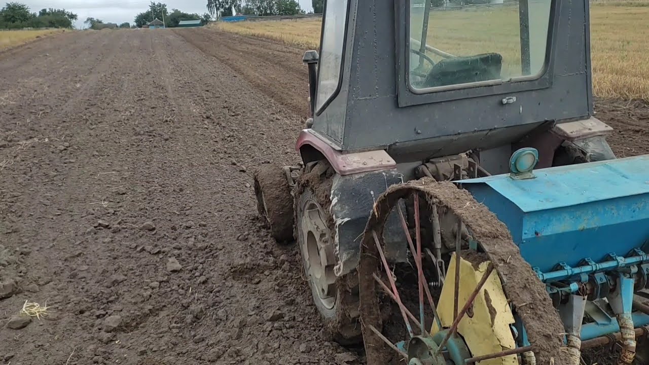 посів пшениці,замір висіву кінської сівалки