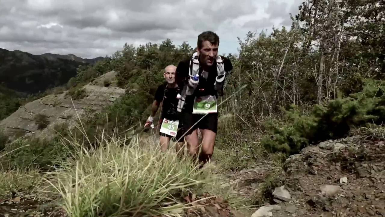TRAIL SACRED FORESTS SU SKY ICARUS 2.0