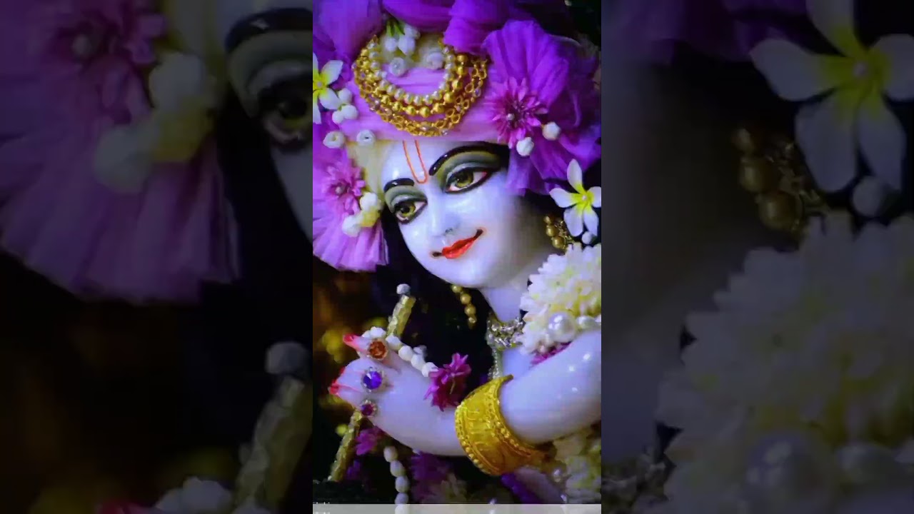 aay ga mara savra Dil sa bulaka dhak #video #viral #radha #cute #shorts #video
