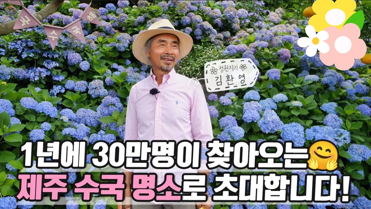 아름다워라~ 수국과 함께한 10년 10 Years with Hydrangeas | 정원의 발견 Wonders of Garden | KBS제주20230616방송
