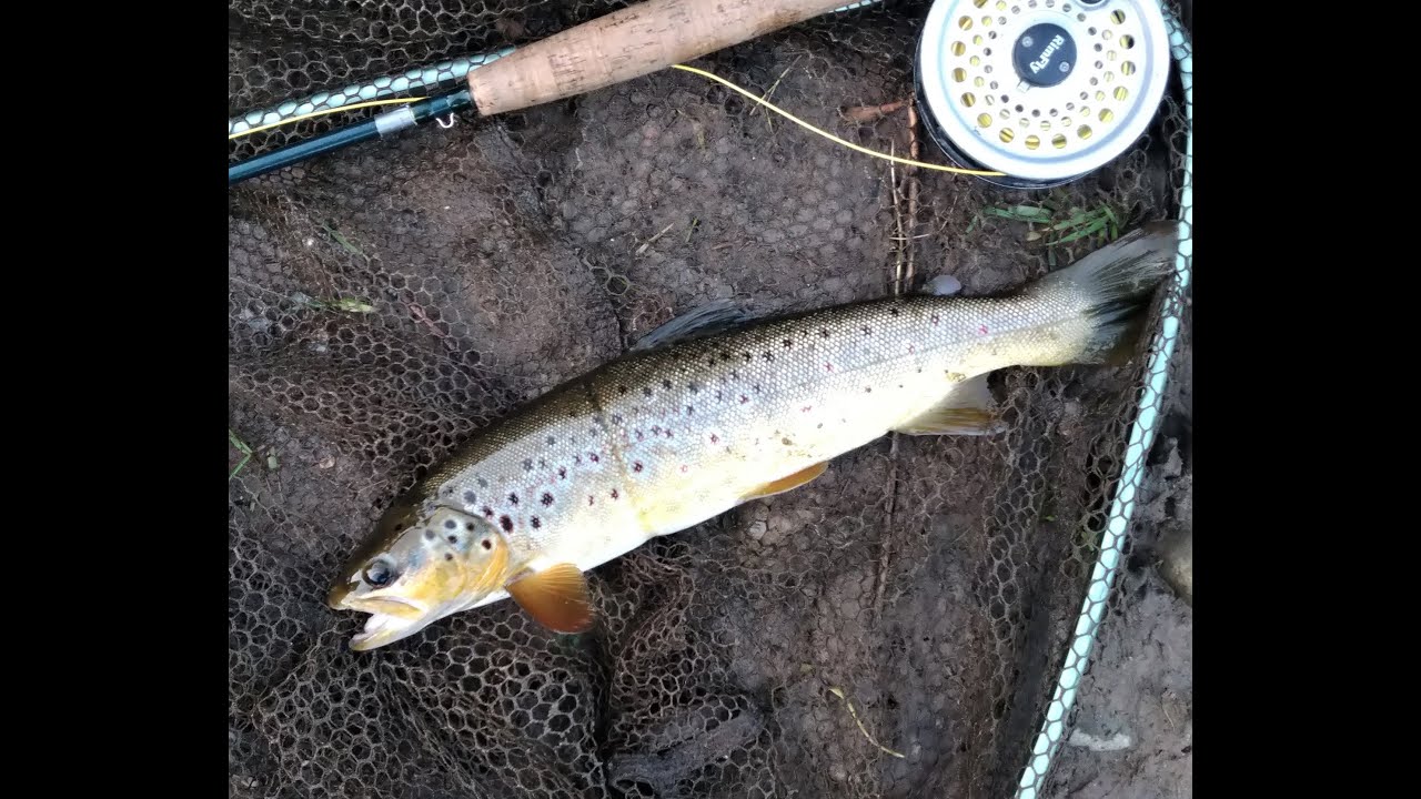mayfly magic1   UK fly tying and fly fishing