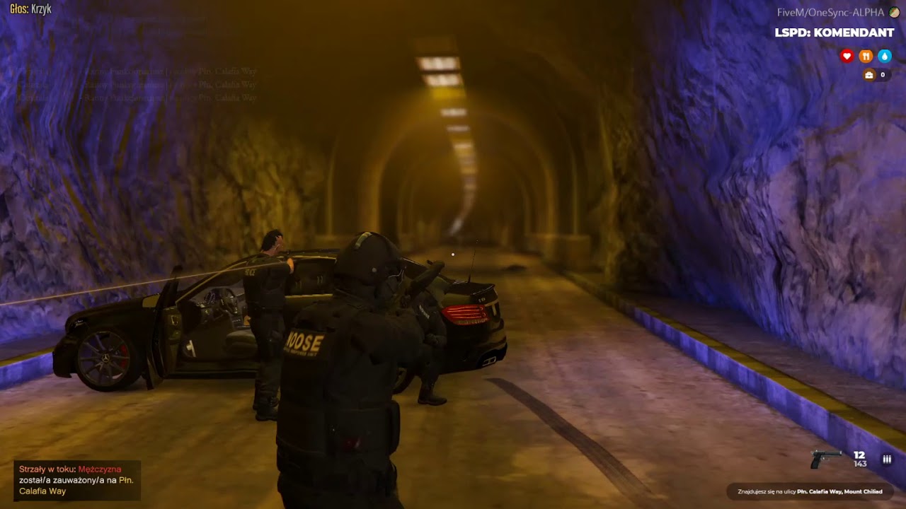 Pr&oacute;ba przechwycenia konwoju przez LSPD oraz N.O.O.S.E. | ExoticRP