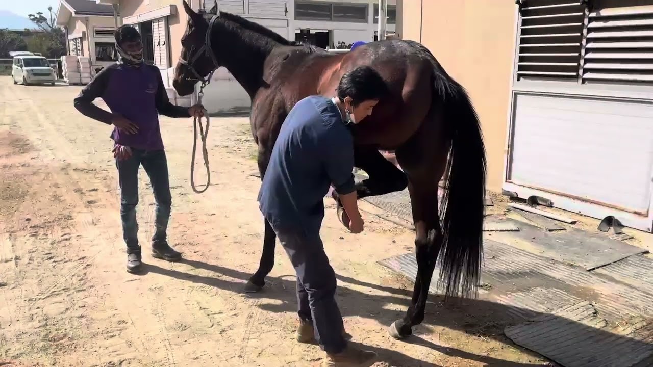 Flexion test