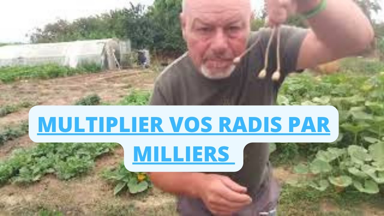 les 