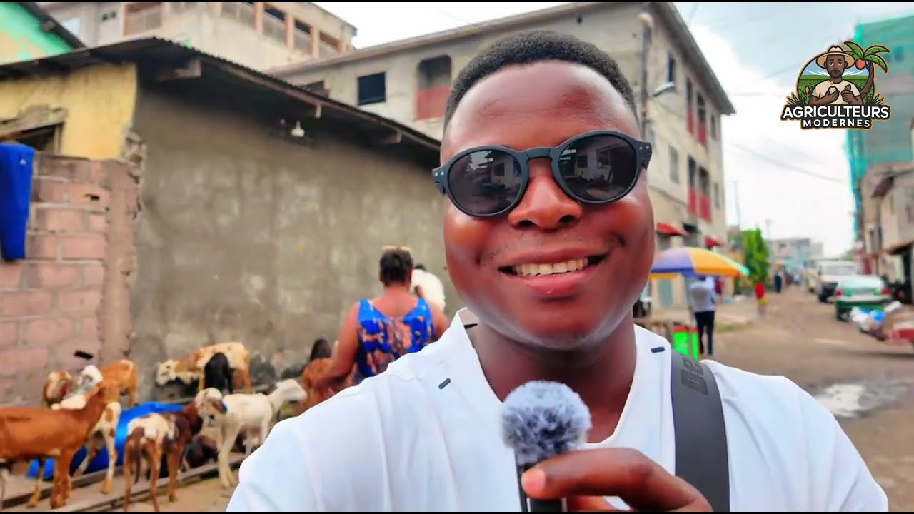 🌱 Qui R&eacute;ussit le Mieux dans l&rsquo;Agriculture au Congo Brazzaville ? 🚀