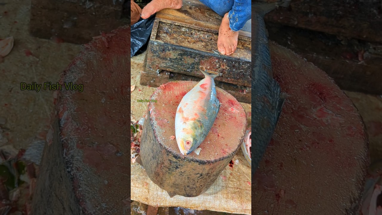 How To Cut A Big Hilsa (ilish) Fish with Egg By Expert Fish Cutter 😧😦 #shorts