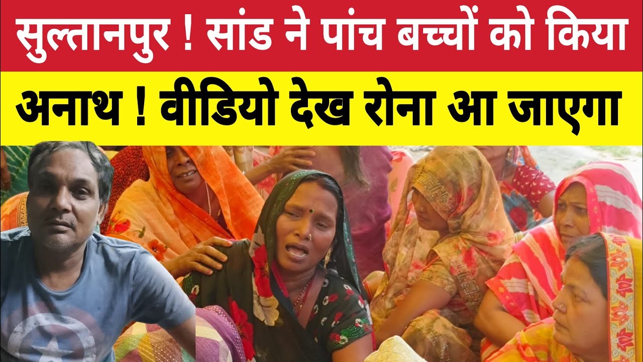 Sultanpur News : सांड ने पांचों बच्चों को किया अनाथ ! रुला देने वाली वीडियो !Accident ! Dhammaur 