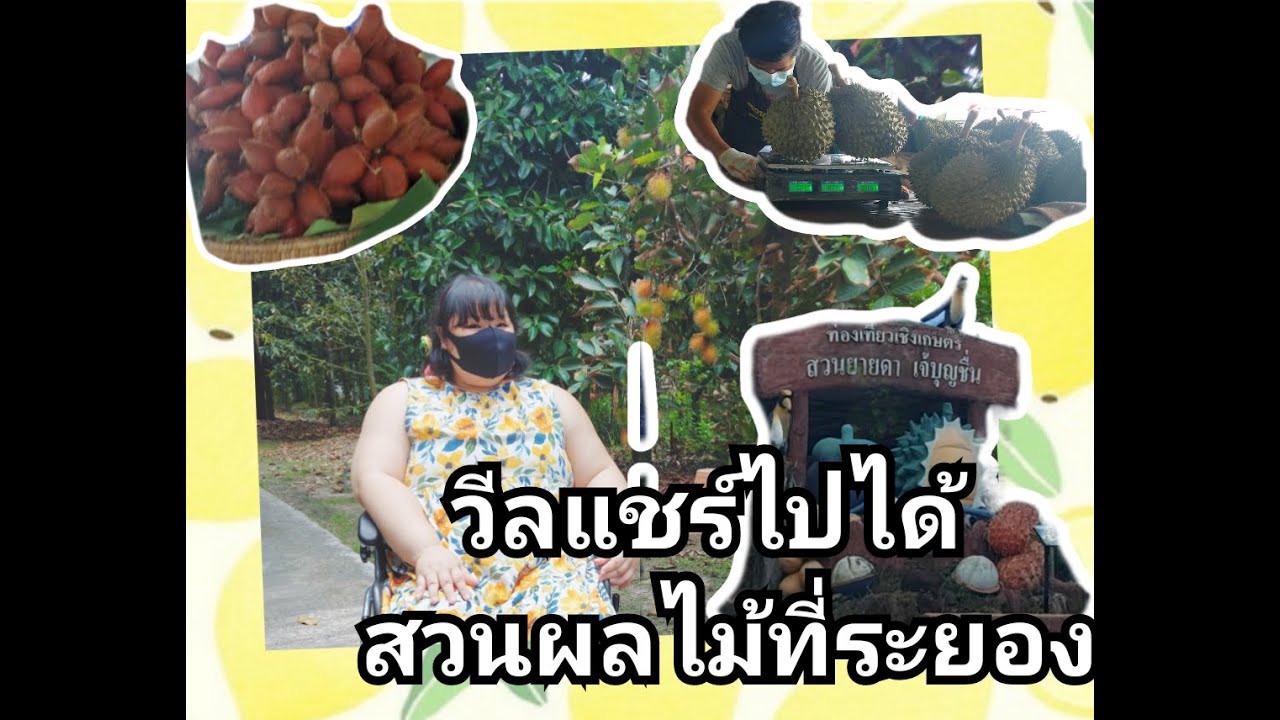 วีลแชร์ไปได้ Ep.3 สวนผลไม้ยายดา-เจ๊บุญชื่น ระยอง by มีไมตรีแชแนล